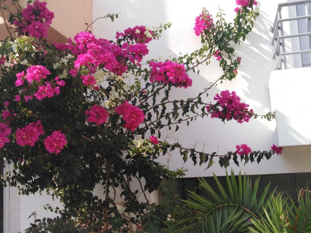 Rix Palm Kyrenia (Northern Cyprus)
