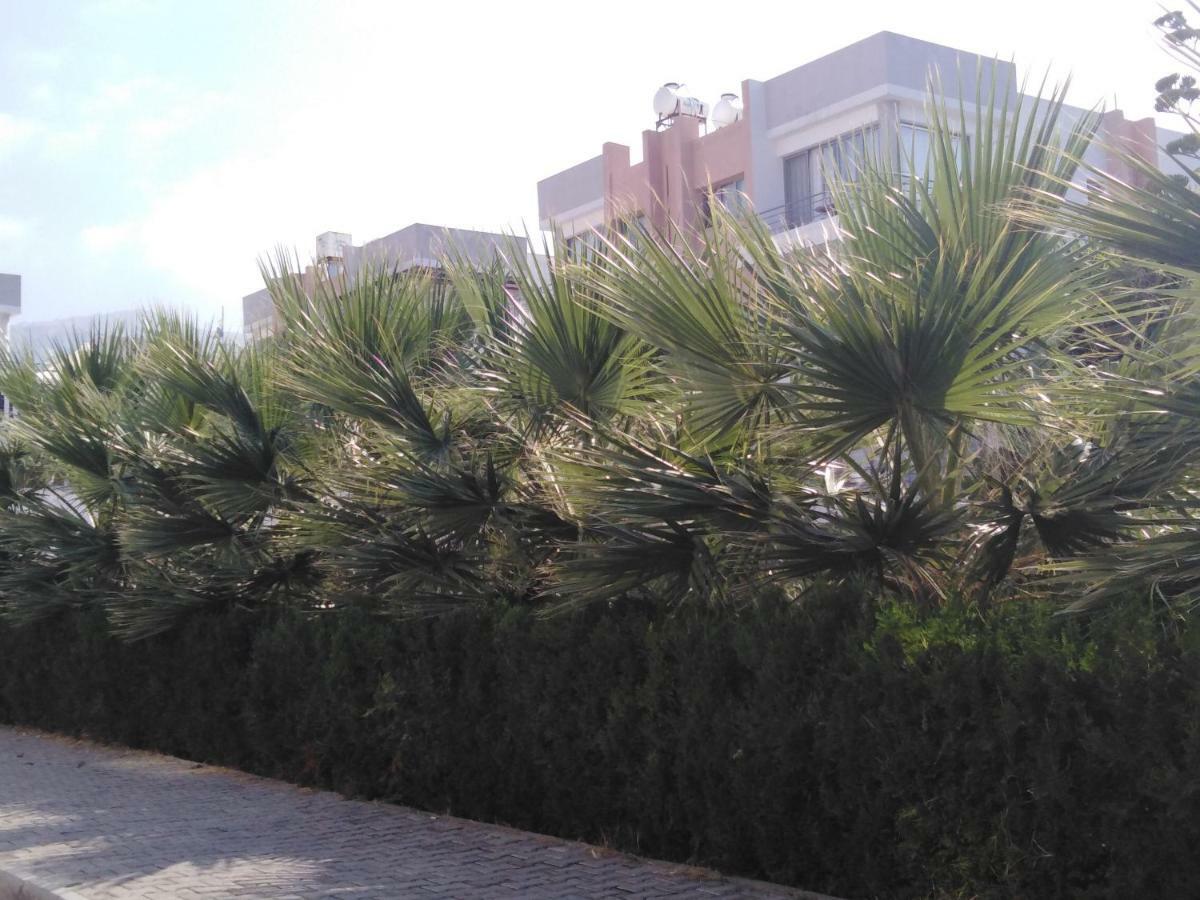 Apartment Rix Palm